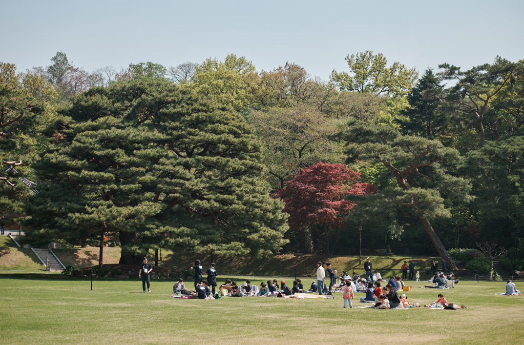 청와대 관람 예약