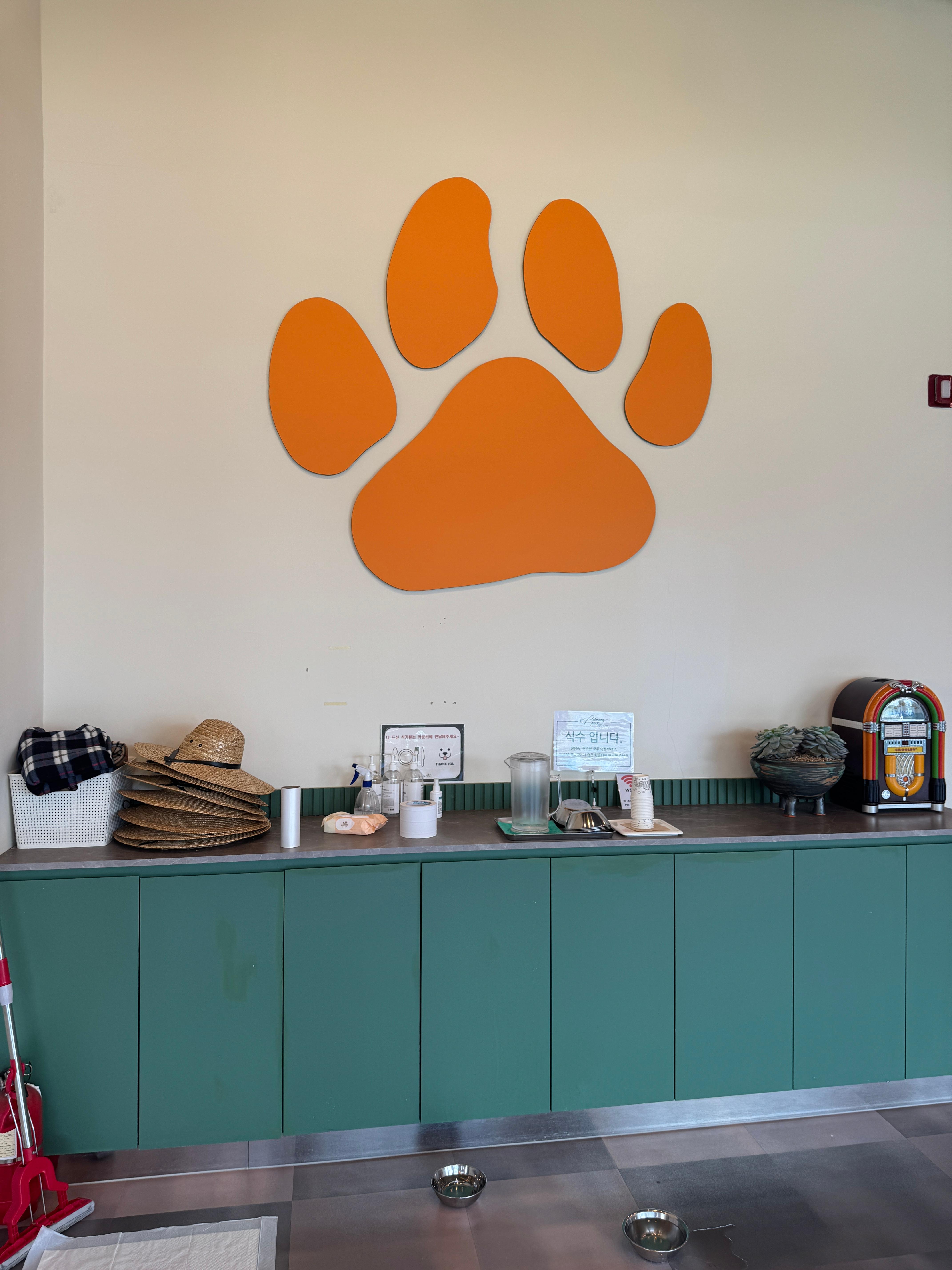 풀멍파크 실내 강아지 식수 마련된 공간