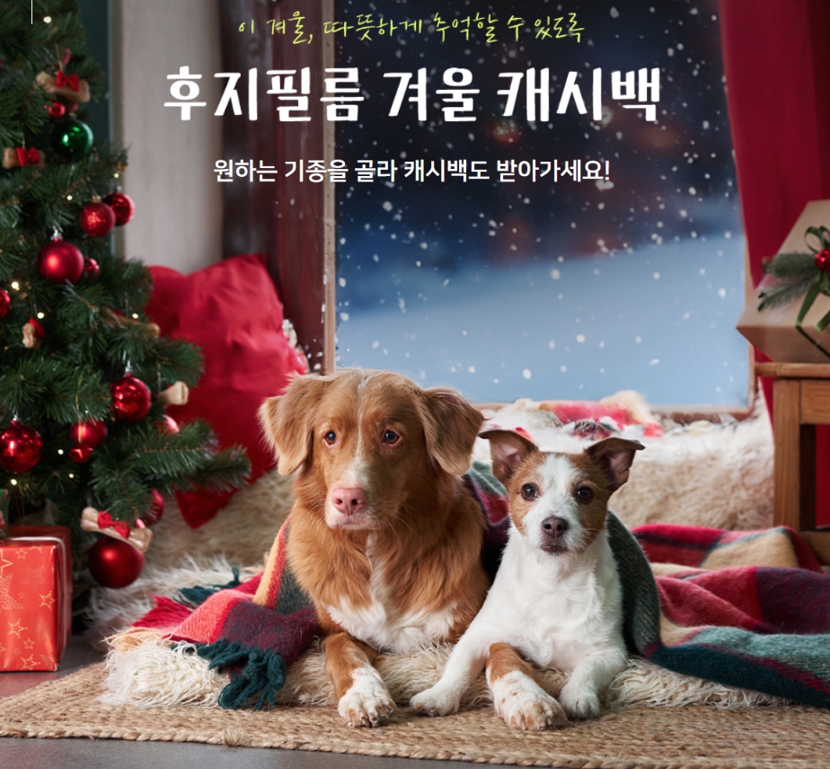 남대문 카메라 상가 디지탈창신