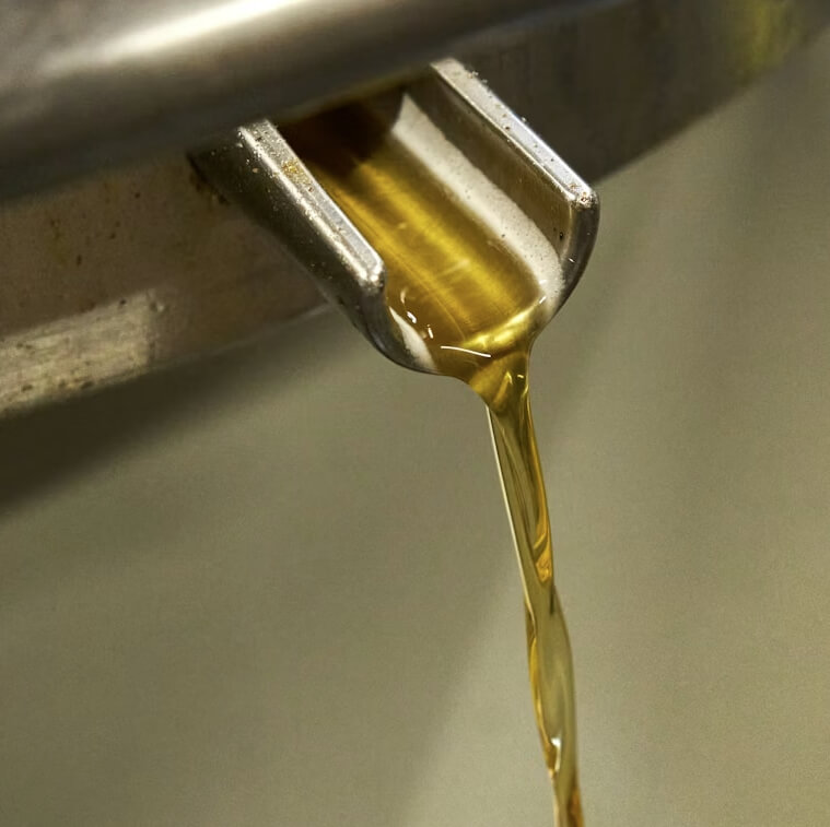 참기름 효능 완벽 정리