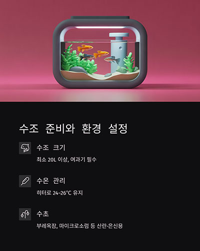수조 준비와 환경 설정: 작아도 체계 있게