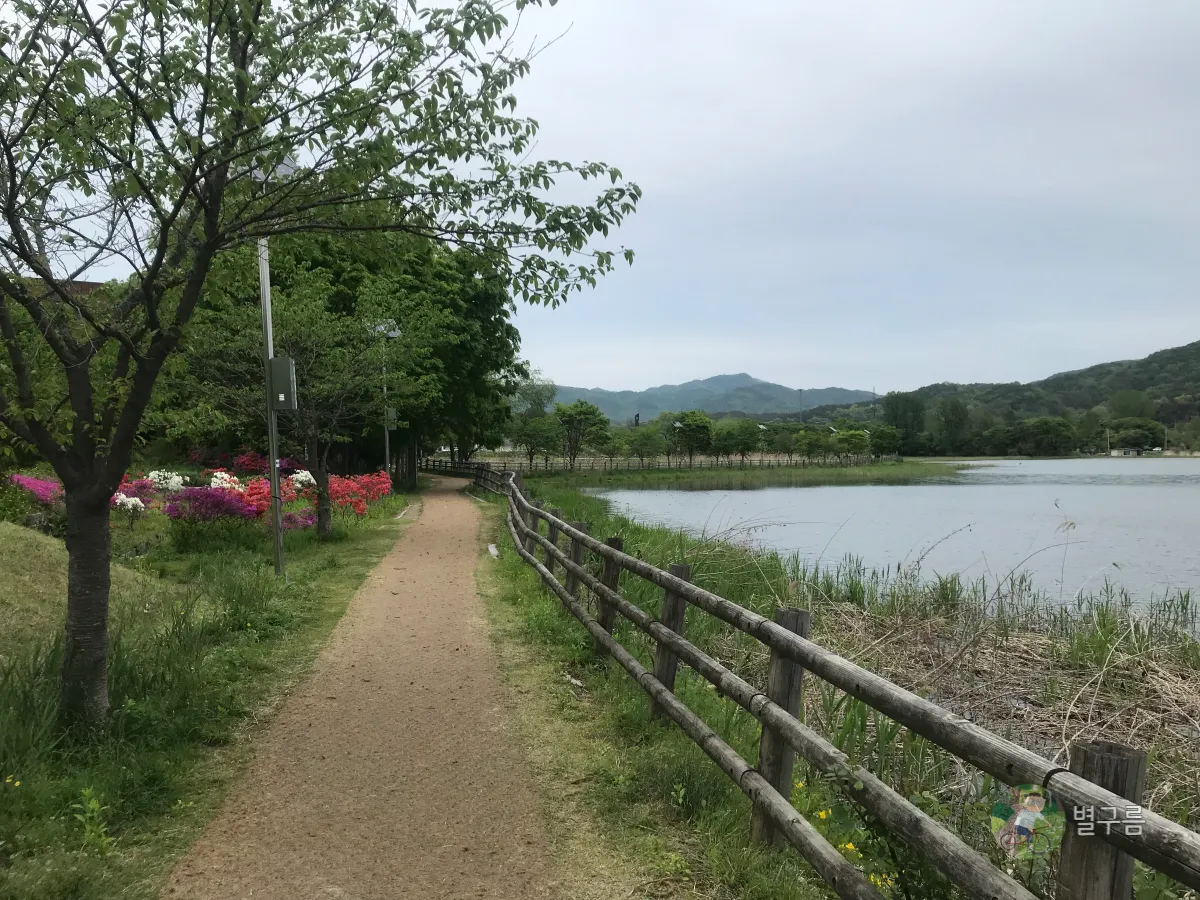 두물머리-물래길-산책길-2