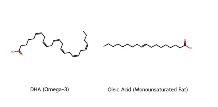 오메가3 불푸화지방산 분자구조