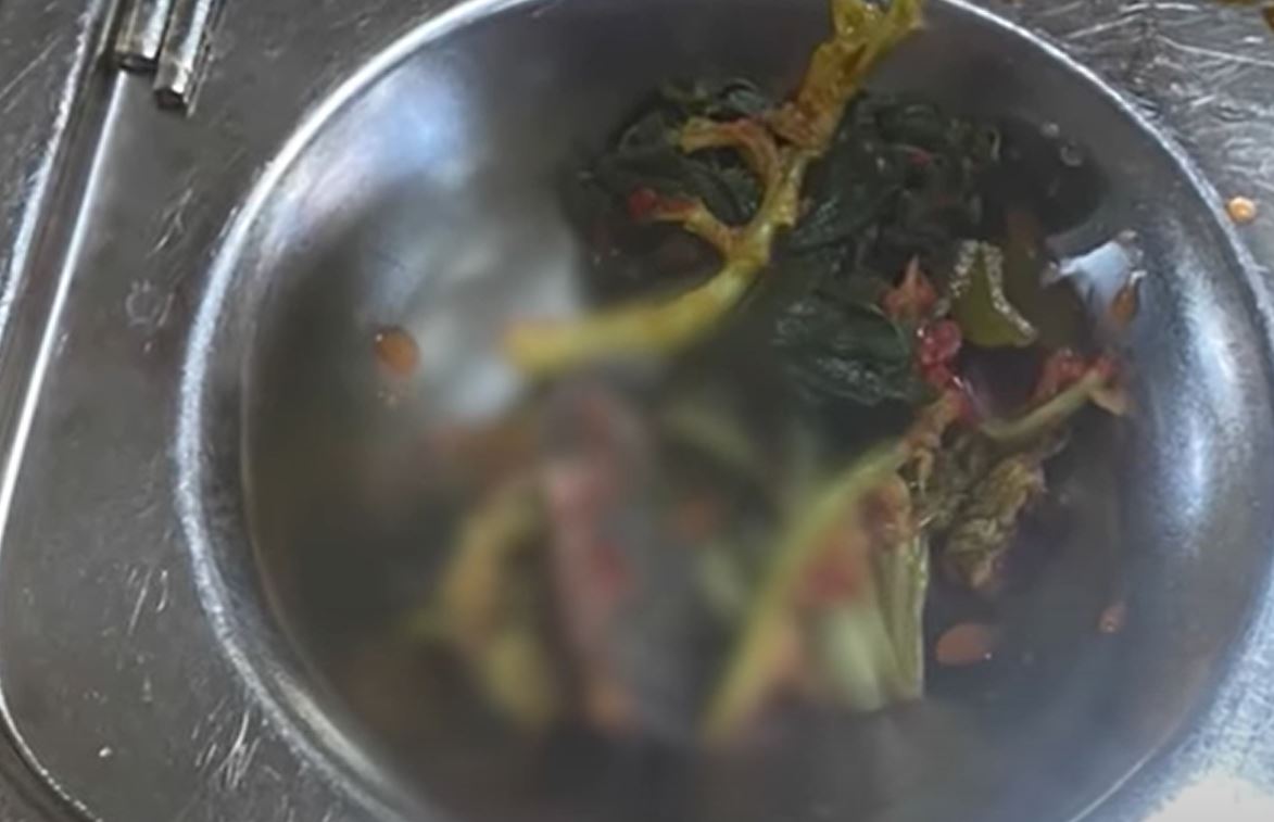 개구리 사체가 들어간 김치