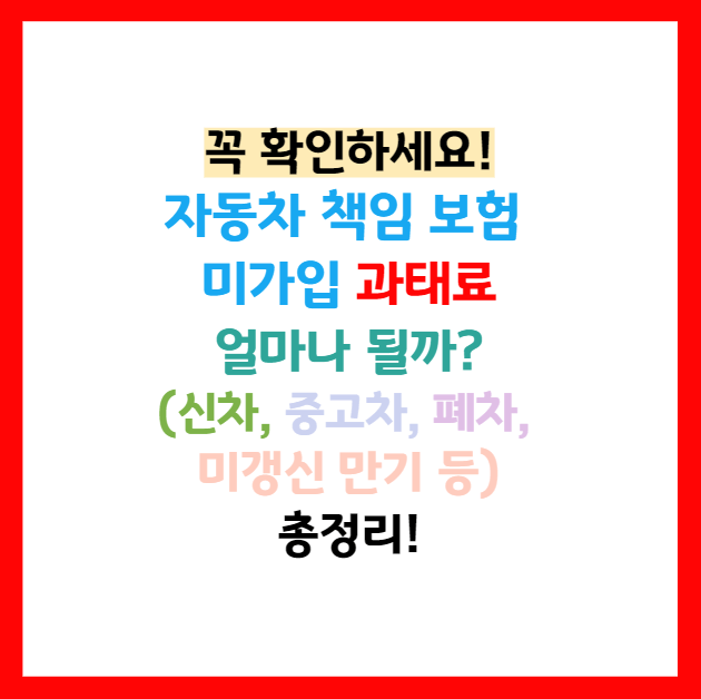 자동차보험