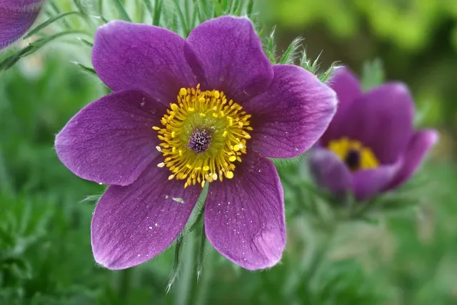 부천 가볼만한곳 베스트10 여행 당일치기 코스_6