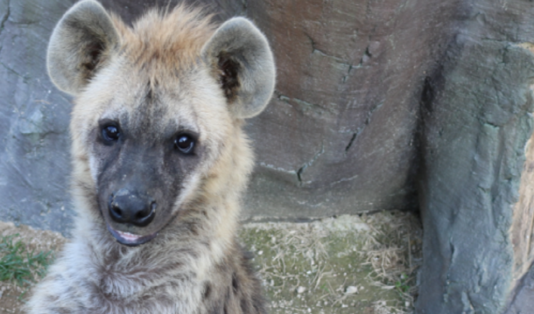 아라마루 아쿠아리움