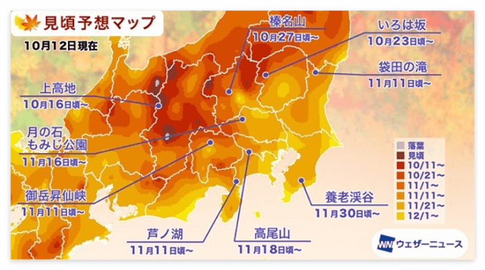 일본 관동지역 단풍정보