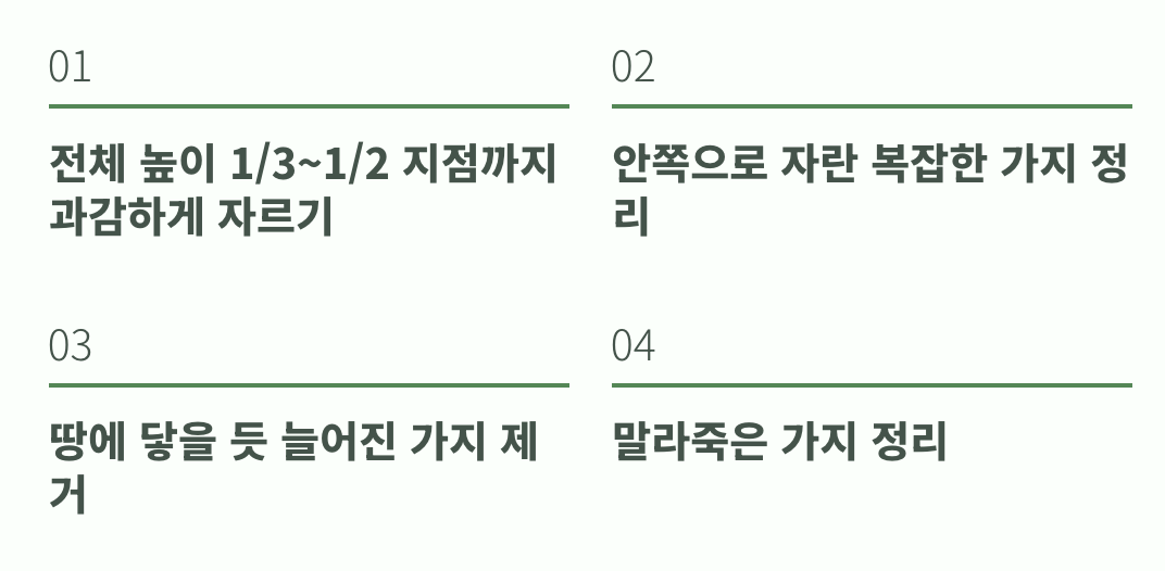 어떻게 잘라야 할까? (초보자를 위한 가이드)