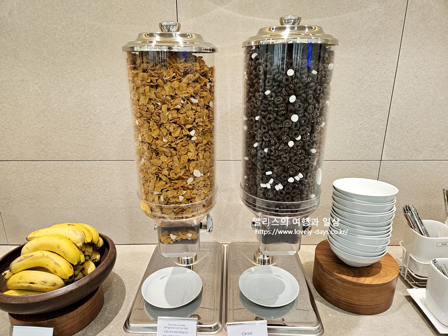 김해공항 국제선 대한항공(KAL) 라운지 운영시간 입장조건 메뉴 후기