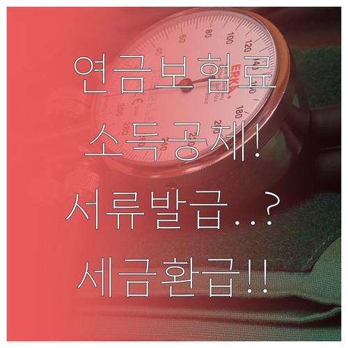 국민연금 보험료 소득공제 납부 확인서..