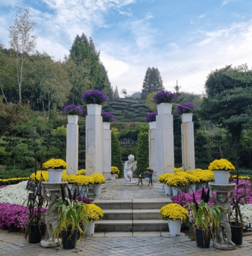 사계절 아름다운 피나클랜드 수목원