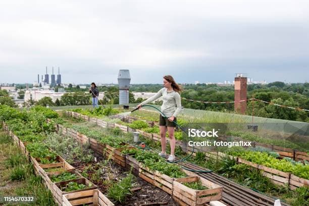 도시 농업: 지속 가능한 도시를 위한 스마트 가드닝 기술
