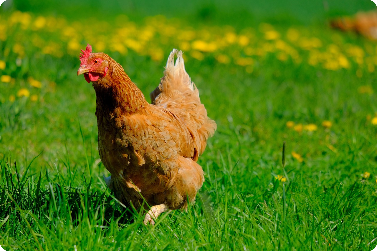 1957년생 (정유생) 4월 운세