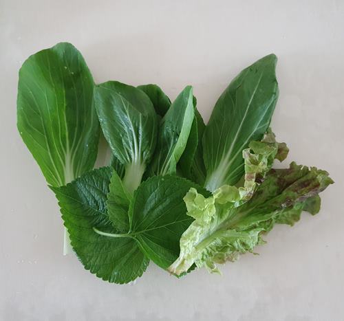 청경채 상추 깻잎