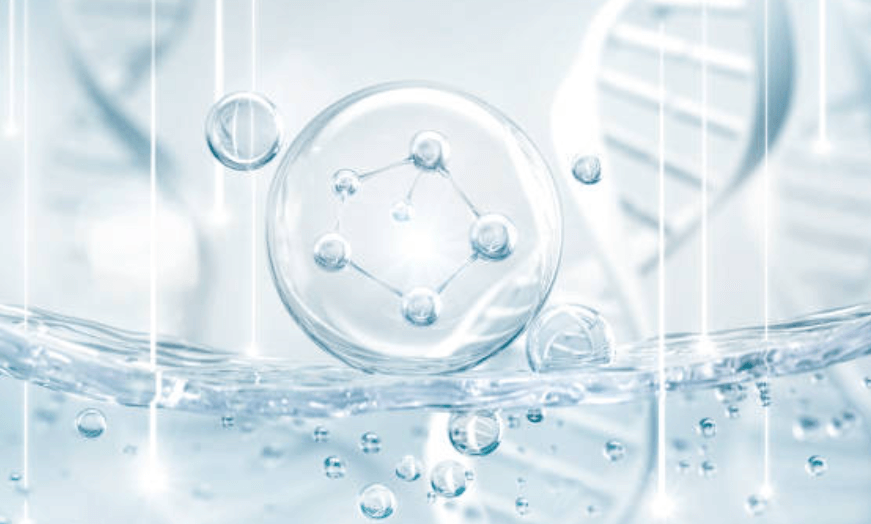 에버콜라겐 가격