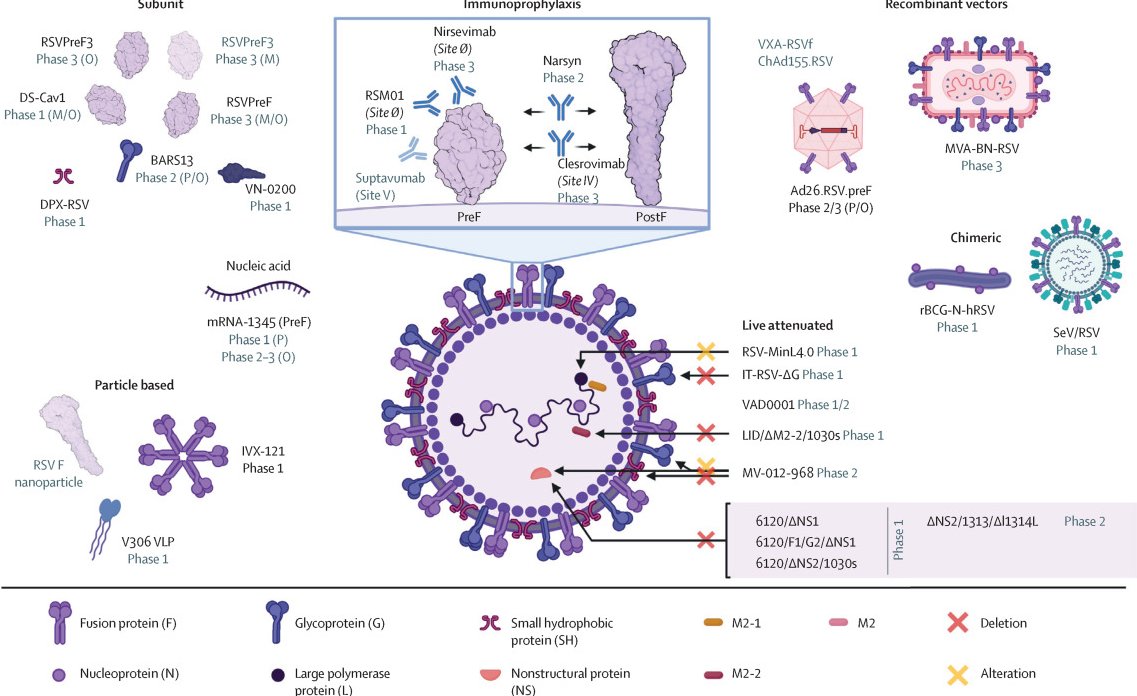 니르세비맙-작용원리