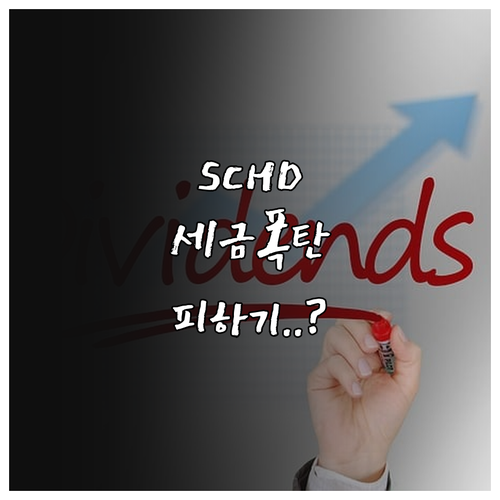 금융소득종합과세 피하는 SCHD 계좌..