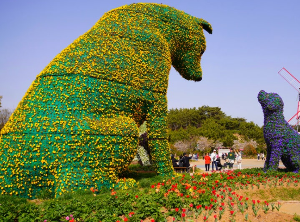 태안튤립박람회