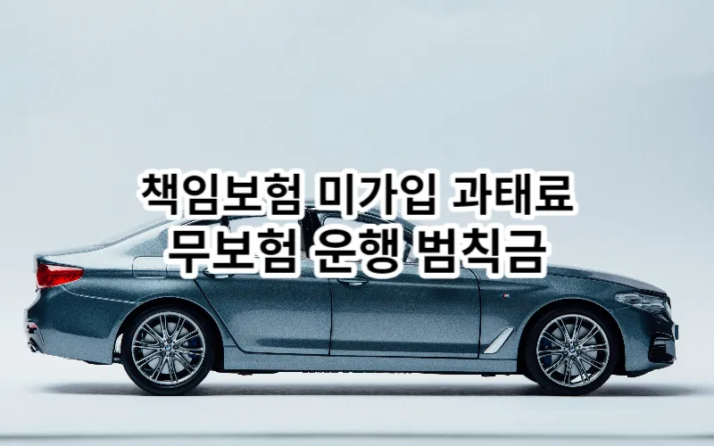 자동차 책임보험 미가입 과태료 무보험 범칙금