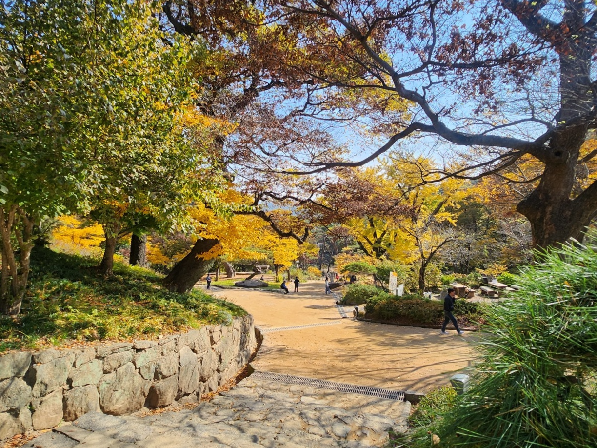 인천단풍명소