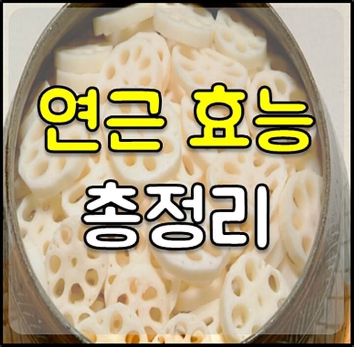 연근 효능 썸네일