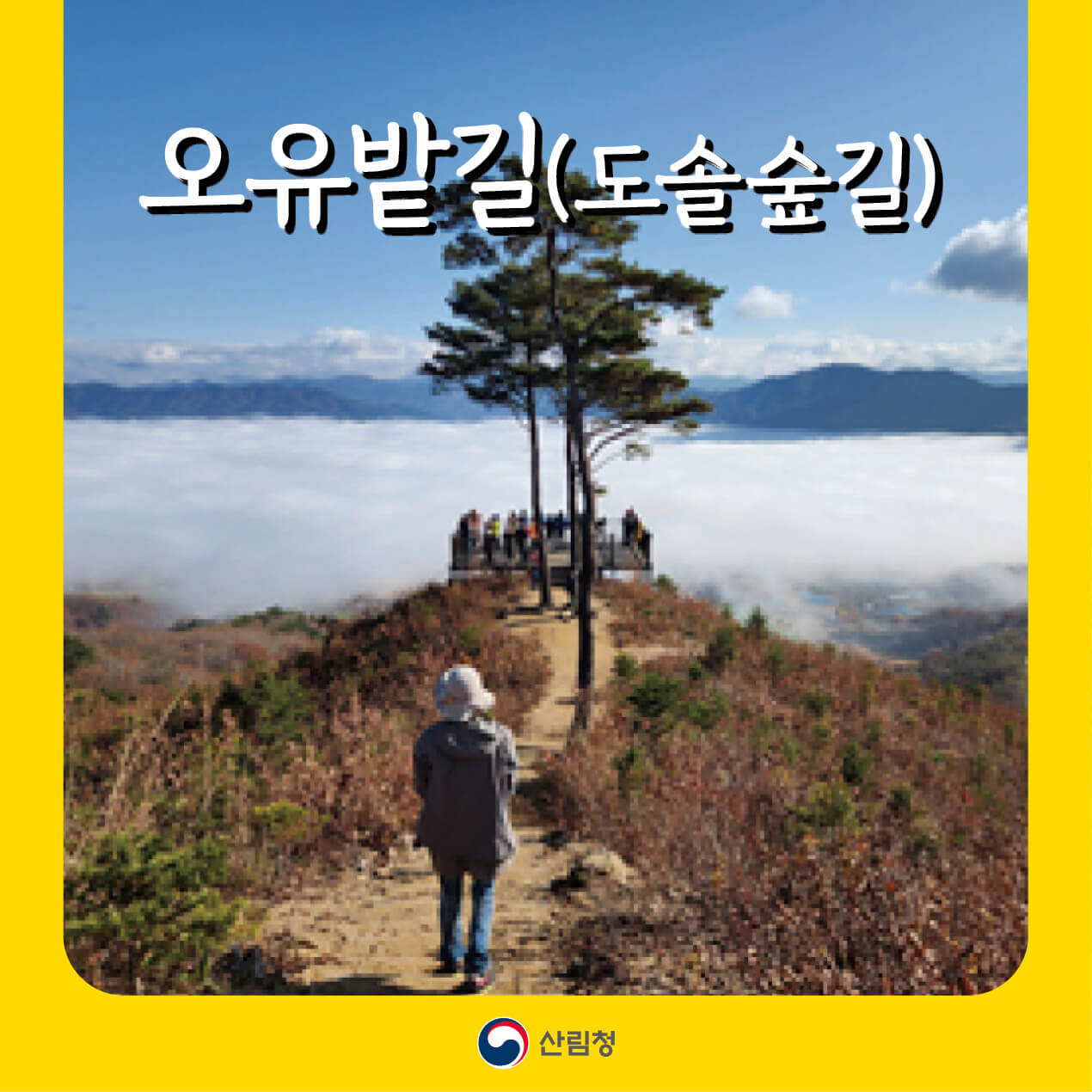 오유밭길(도솔숲길) 완전 정복! 양구 평화 트레킹 코스 안내