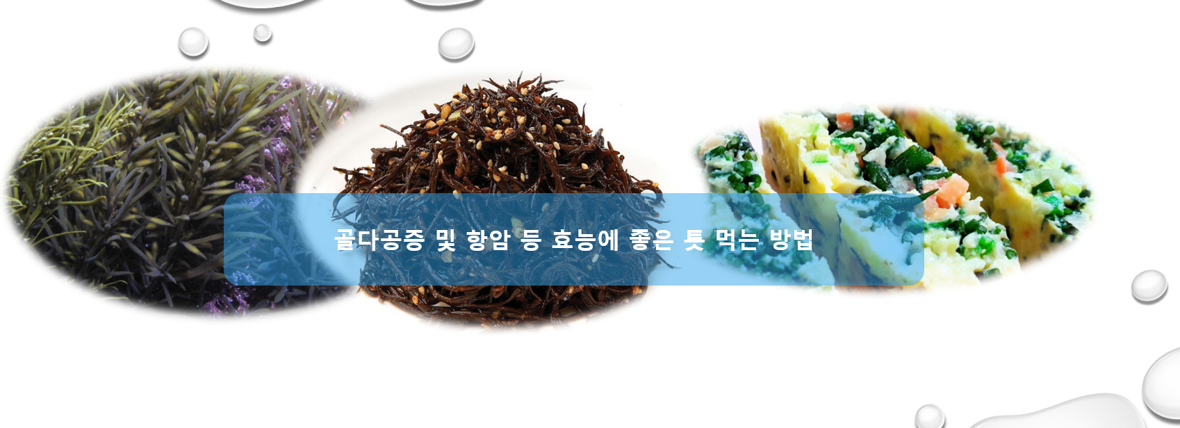 골다공증 및 항암 등 효능에 좋은 톳 먹는 방법