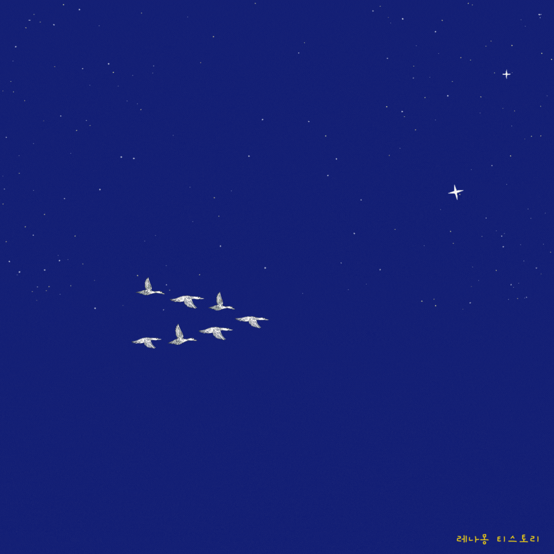 추석 인사 이미지 gif