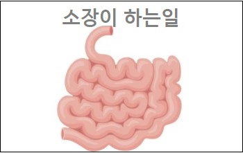 소장이 하는일