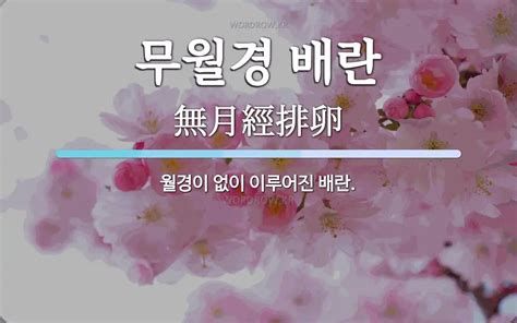 무월경