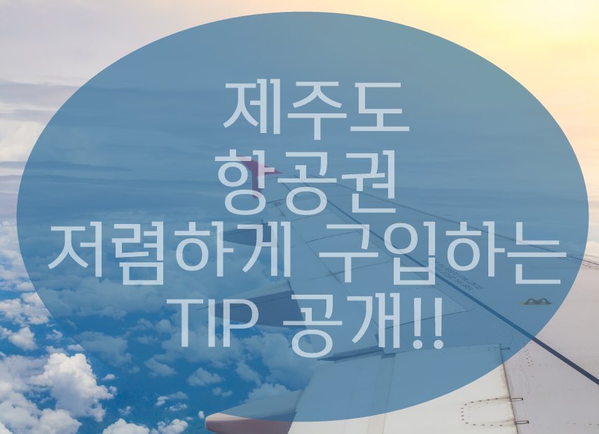 제주도 항공권 싸게 구입하는 방법