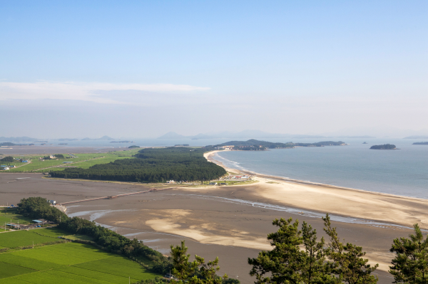 전남 신안 증도 사진