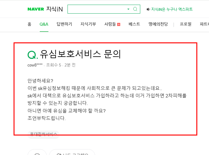 유심 보호서비스 질문 지식인