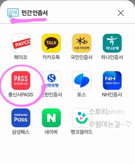 손택스