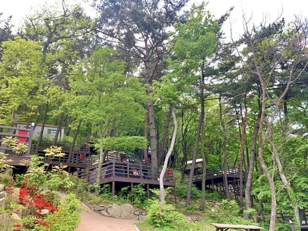 경남 신어산자연숲캠핑장