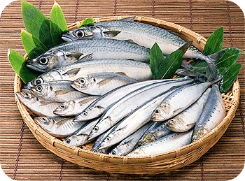 고지혈증에-좋은-음식