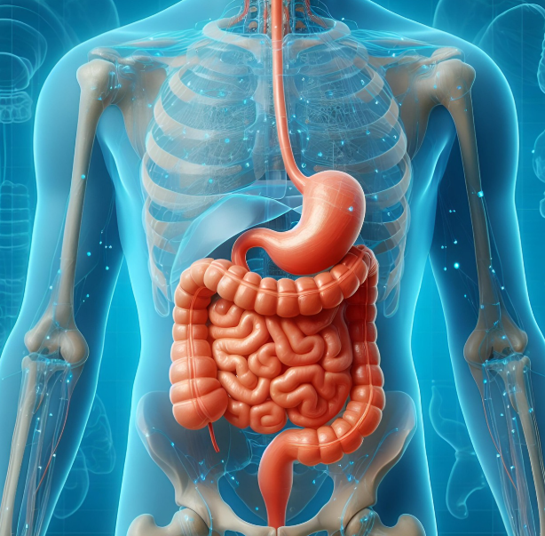 방광암과 관련된 사진2