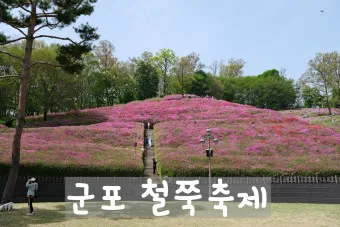 군포 가볼만한곳 베스트10 현지인 추천 필수코스_19