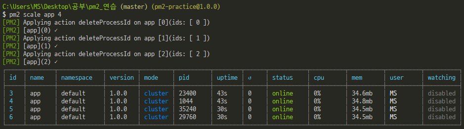 nodejs-pm2