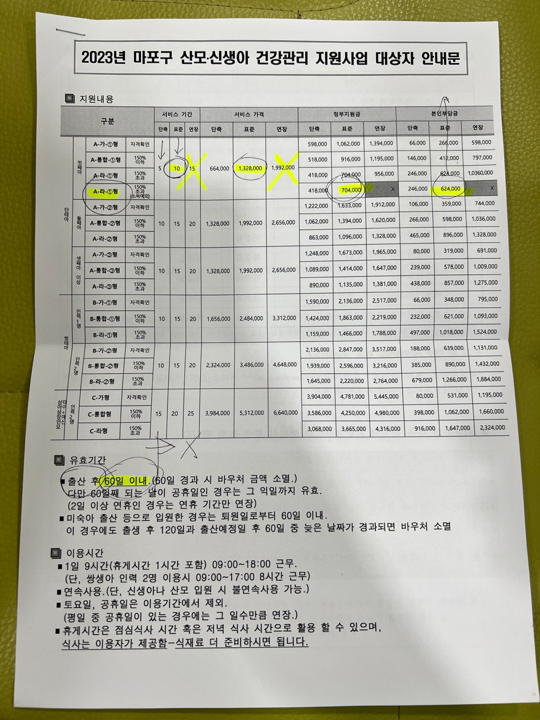 정부지원 산후도우미