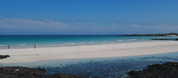 봄에 떠나기 좋은 여행지