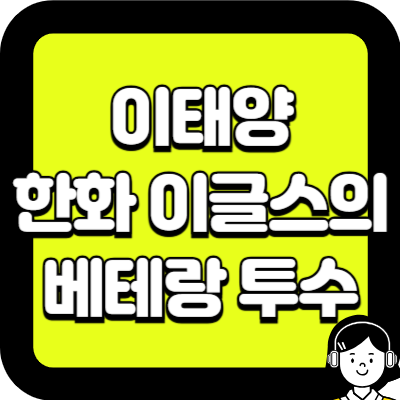 이태양 한화 이글스의 베테랑 투수