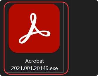 아크로뱃 프로 2021