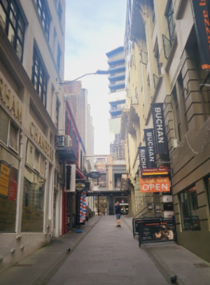 뉴질랜드 신혼여행