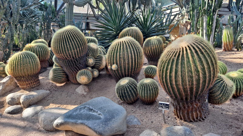 제주여행_여미지식물원