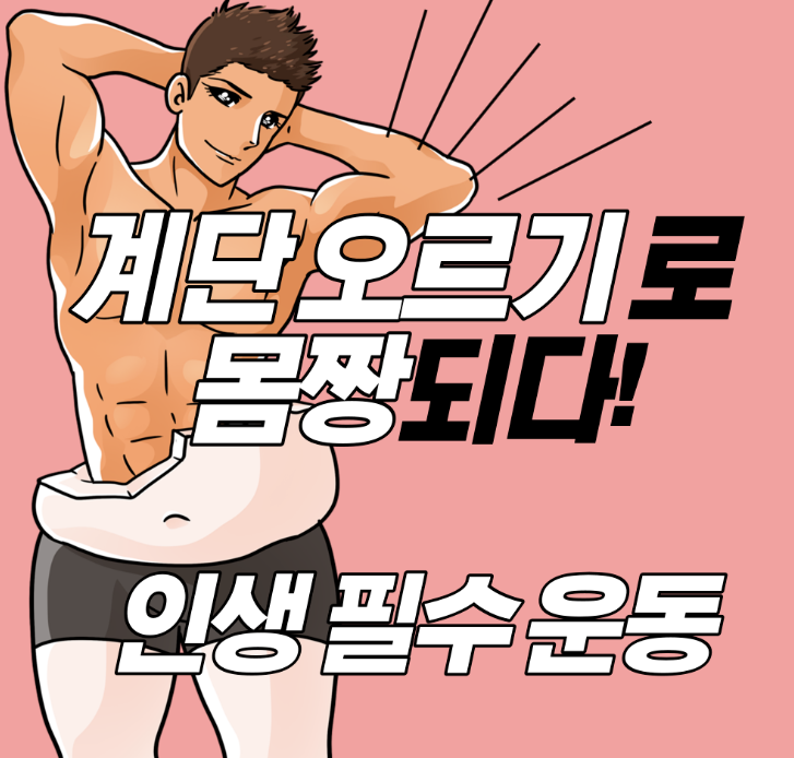 계단-오르기-운동의-효과