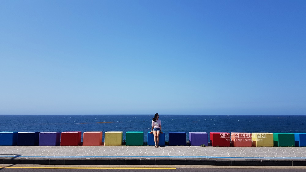제주 앨리스 앤 트렁크 호텔 주변 제주공항 근처 가볼만한곳 BEST 10