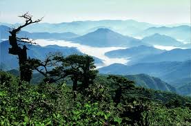 태백산 산행코스