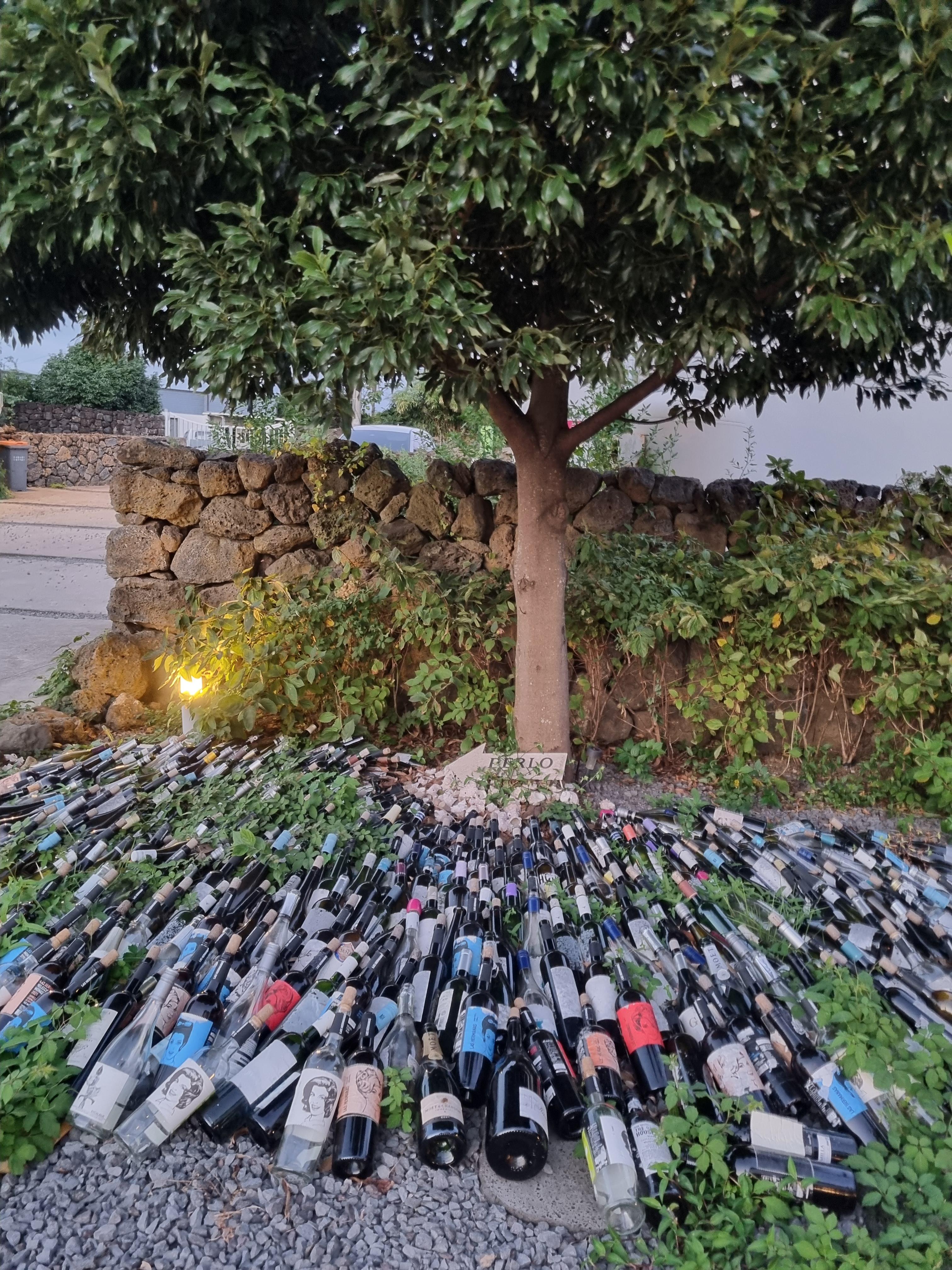 페를로